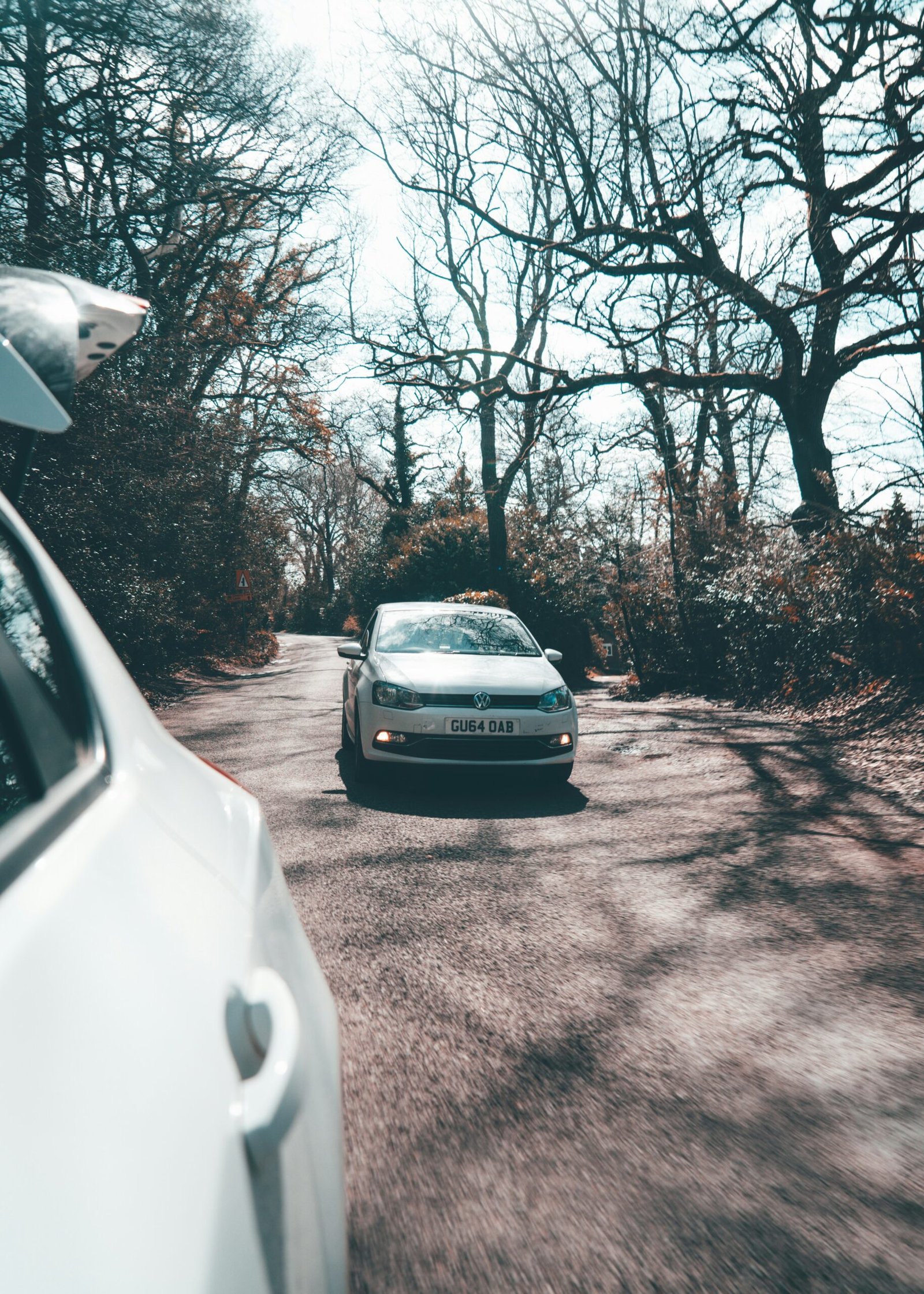 black car parked near bare trees during daytime